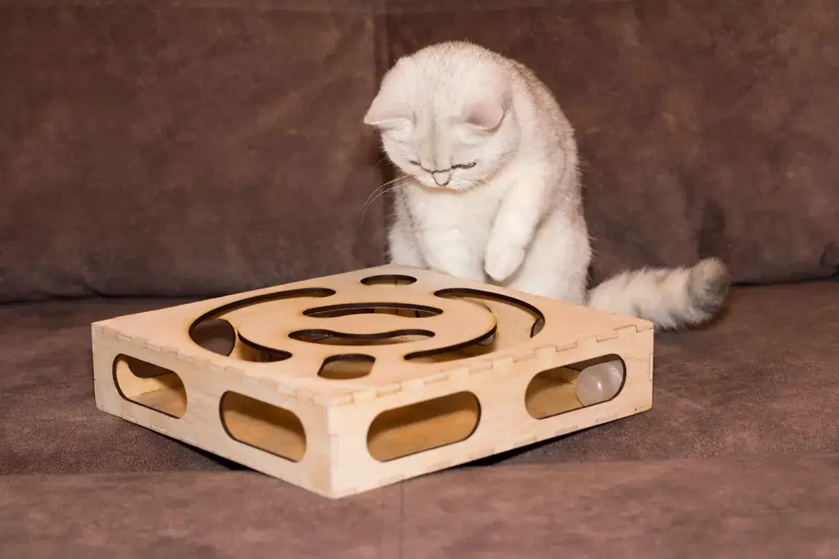 Игрушка для кошки 4