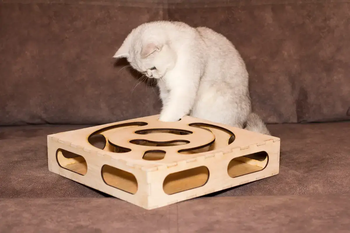 Игрушка для кошки 3